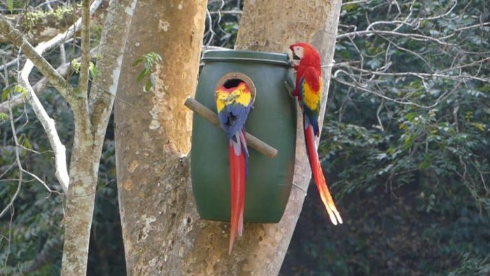 Nest boxes