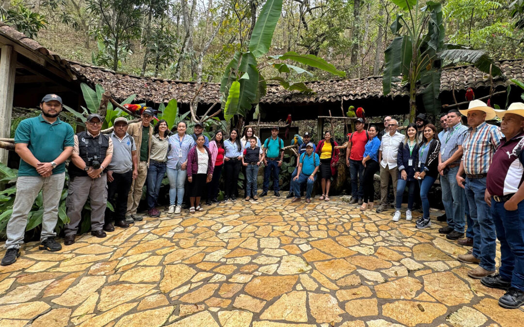 Delegación de Guatemala visita Macaw Mountain para fortalecer esfuerzos en la protección de la guacamaya roja
